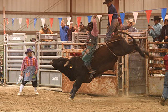 Kerr County Fair
